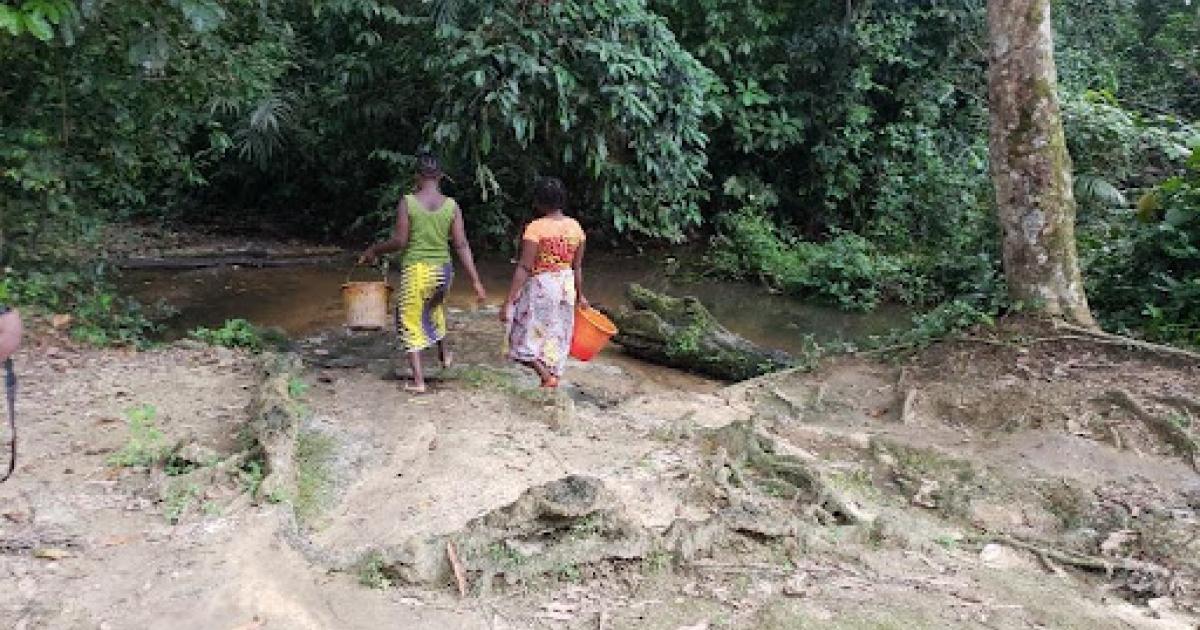 Liberia: 'My Kids Drink the Same Creek Water I Drank at Their Age' - Liberian Daily Observer
